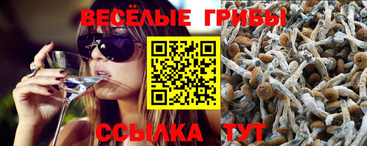 Галлюциногенные грибы Cubensis  Галлюциногенные грибы мухоморы  Вход с VPN  купить  сайты  Кирово-Чепецк 