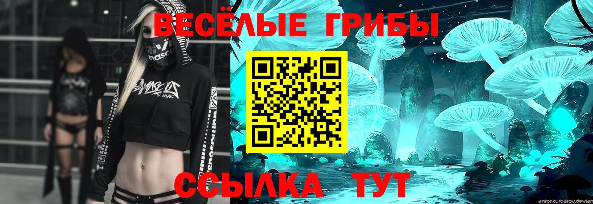 Галлюциногенные грибы прущие грибы Кирово-Чепецк